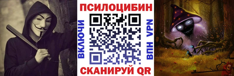 Галлюциногенные грибы мухоморы  закладка  Снежногорск 